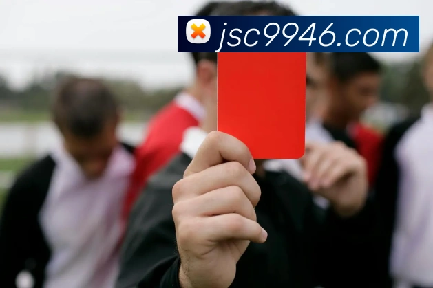 App 展示图